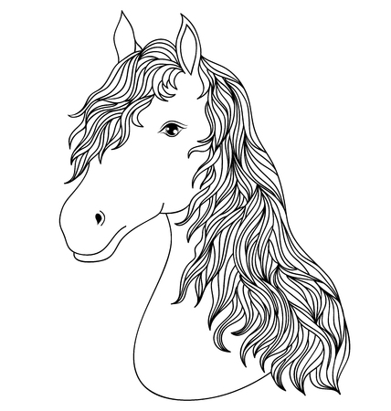Hand drawn head of horse on white background.Coloring page for children and adult.Vector illustration.のイラスト素材