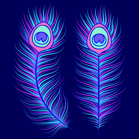 Peacock feathers on dark blue background for your design.のイラスト素材