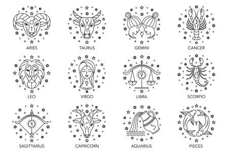 zodiac signs on whiteのイラスト素材