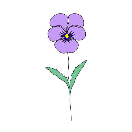 Violet flower on whiteのイラスト素材