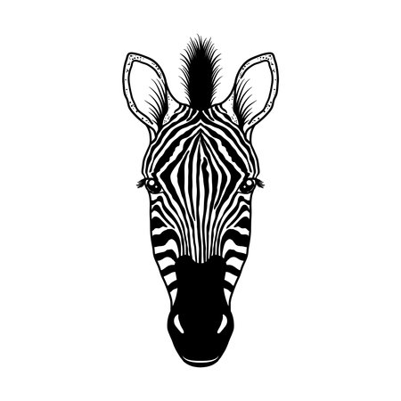 Zebra head on whiteのイラスト素材