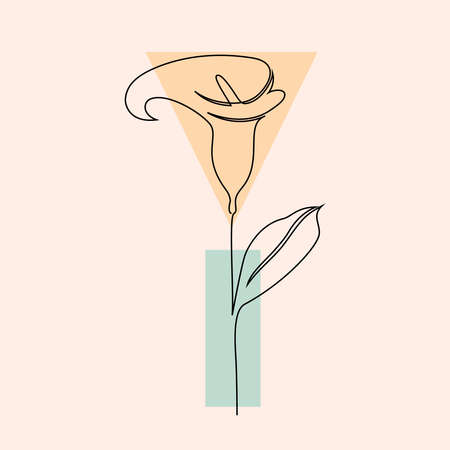 flower and geometric shapes.のイラスト素材