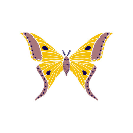 Butterfly in doodle styleのイラスト素材