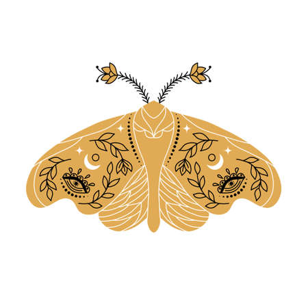 Moth in line art styleのイラスト素材