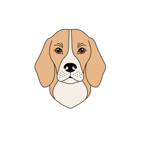 Beagle dog muzzle in linear flat styleのイラスト素材