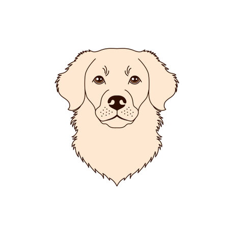 Retriever dog icon in linear flat styleのイラスト素材