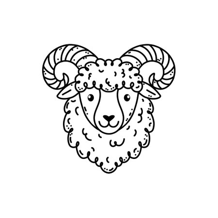 Cute ram in hand drawn doodle styleのイラスト素材
