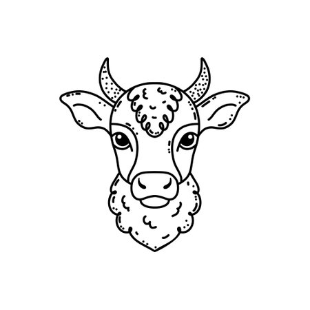 Cute cow in hand drawn doodle styleのイラスト素材