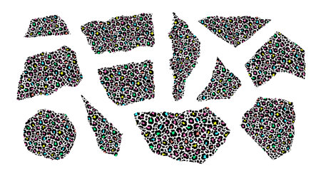 Set of stylized pieces of paper with a leopard printのイラスト素材