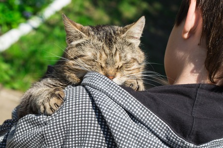 Kitten sleeps on a shoulder of the boyの写真素材