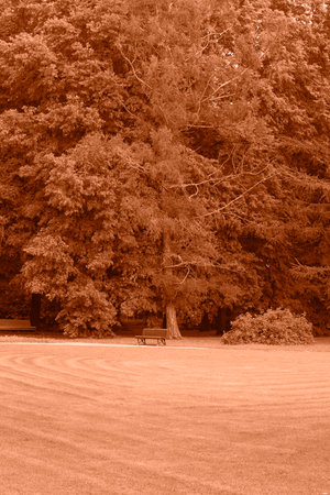 Peach Fuzz toned colour park landscape. Garden monochrome background. Trendy color 2024.の写真素材