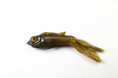 Fishing lure with white background
