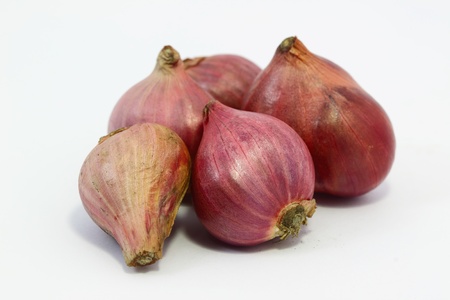 Shallots with white backgroundの写真素材