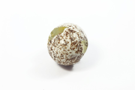 One open eggs of bird with white backgroundの写真素材