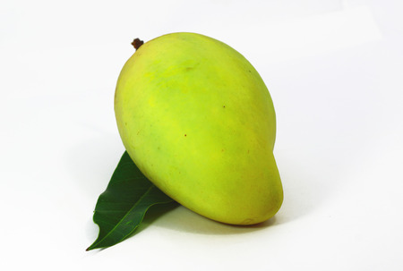 Ripe mangoes with white の写真素材