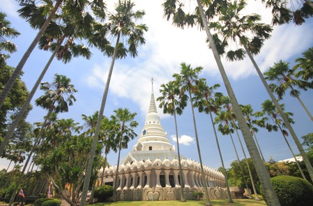 Pagoda of temple in Thailandの写真素材
