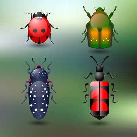 Four colored beetles, green backgroundのイラスト素材