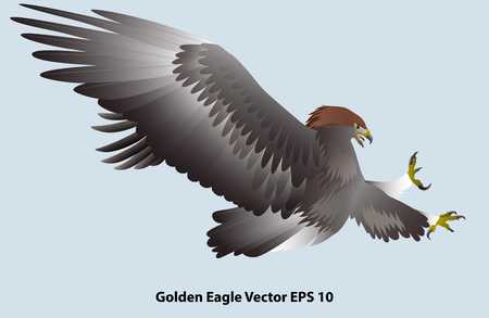 attacking golden eagle isolated on light blue background. Vector illustrationのイラスト素材