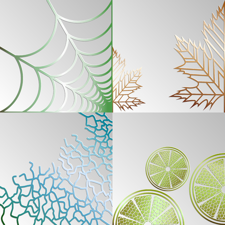set of abstract backgrounds of their cobwebs, leaves, mandarin and curls on a gray background. Vector illustrationのイラスト素材