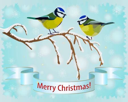Christmas background for a card with titmouse on a branch and snowflakes. Vector illustrationのイラスト素材