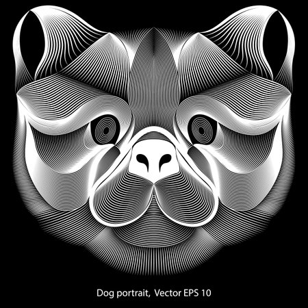 Abstract portrait of Chow Chow dog on black background, line art. Vector Illustrationのイラスト素材