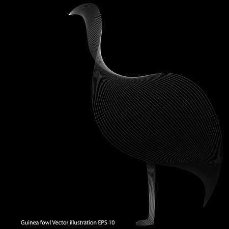 Abstract vector drawing of guinea fowl on a black background, line art, blend, isolated, full size. Vector illustrationのイラスト素材