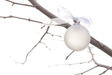 white christmas ornament hanging on a christmas treeの写真素材