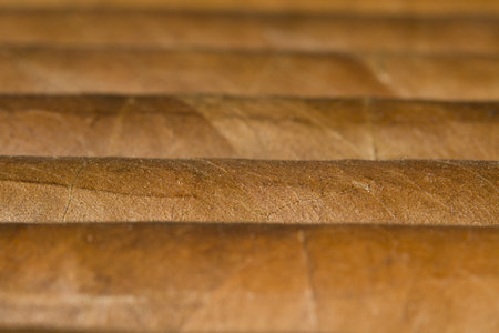 A macro photo of a bundle of cigars 