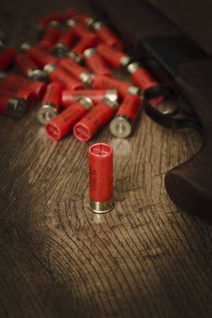 12 gauge ammunition on the floor with shotgun  This is the steel version of the ammunition Used for...