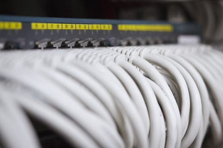 Close up of a gigabit ethernet switch with cat 5   5e   6 patch cables connected  Shallow depth of...