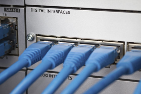 Close up of a cat 5   5e   6 patch cable into a PBX  Private Branch Exchange  switch station for...