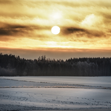 Sunrise in Norway  Deers graze far away の写真素材