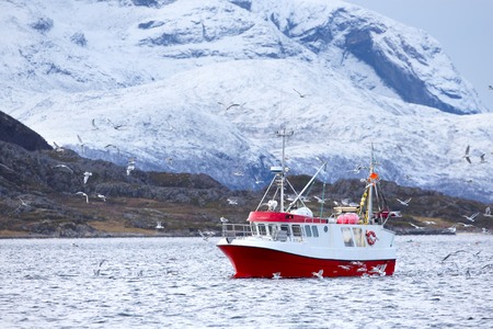 Red fishing boat with a many birds flying around.の写真素材