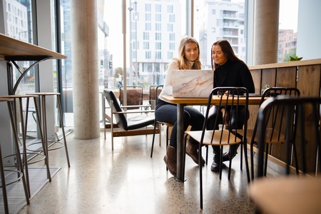 Female students working on common homework project at modern coffee shopの写真素材