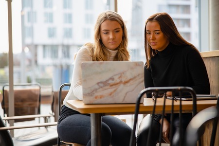 Two Female Bloggers Using Laptop At Table In Cafeの写真素材