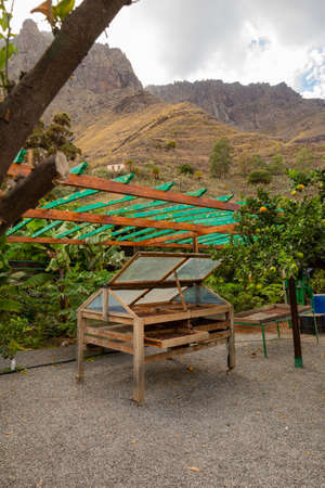 Organic Coffee Beans Drying In Crates in Farmの写真素材