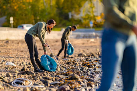 Dedicated volunteers cleaning beach on sunny dayの写真素材