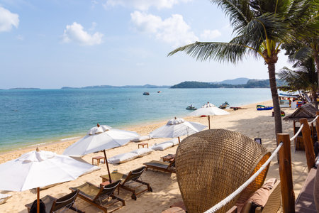 Scenic tropical beach view with umbrellas and chairs, perfect holiday retreatの写真素材