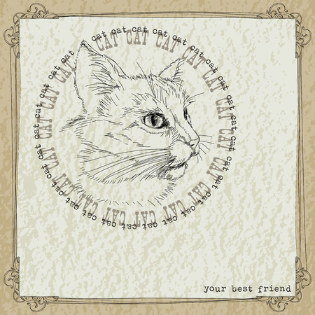 cat head pattern in the frame on the wall, made by handのイラスト素材