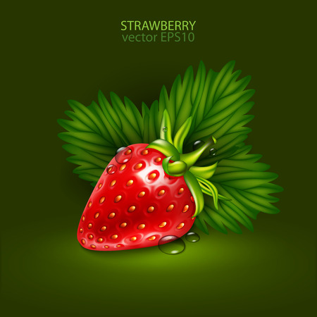 Red berry of ripe strawberry with a transparent drop of dew on a green background. High detailed realistic illustrationのイラスト素材