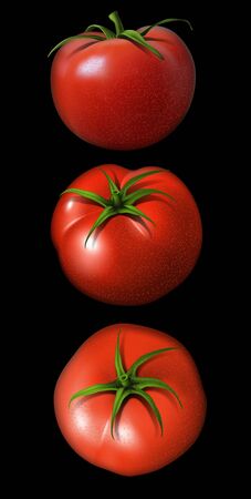 Three red shiny tomatoes on a black background. Highly realistic illustration.のイラスト素材