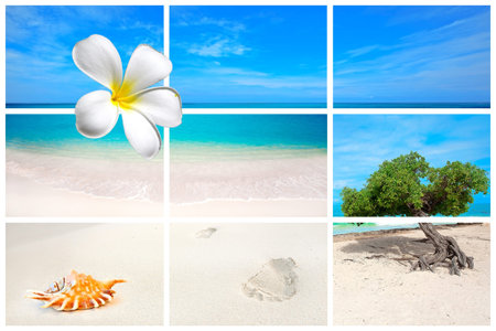 Collection of beach pictures from the Caribbean island Arubaの写真素材