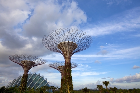 SINGAPORE - JANUARY 23: View of Supertree Grove at Gardens by the Bay on January 23, 2013 in Singapore. Spanning 250 acres of reclaimed land in central Singapore, adjacent to the Marina Reservoir.のeditorial素材