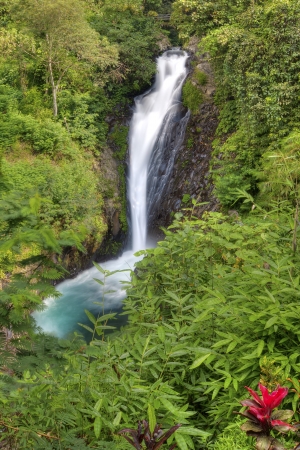 One of the Gitgit waterfalls in Northern Bali, Indonesiaの写真素材