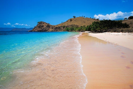  Sunny day on Pink Beach in Komodo National Parkの写真素材