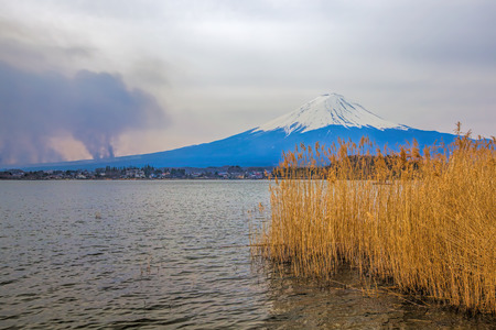 Mt Fuji in the spring seen from lake Kawaguchiの写真素材