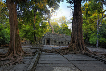 Sunrise over the Ta Phrom temple in Angkor, Cambodiaの写真素材
