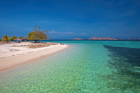 Komodo Islandの写真素材