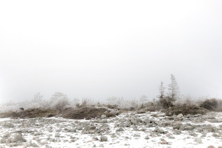 Foggy winter landscapeの写真素材