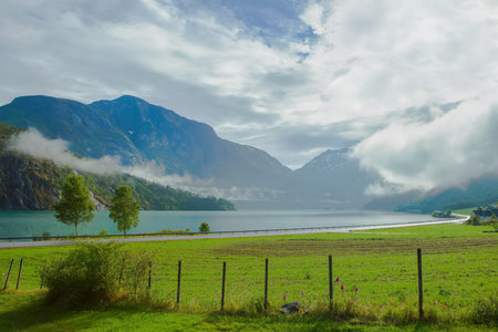Summer landscape in Stryn Norwayの写真素材